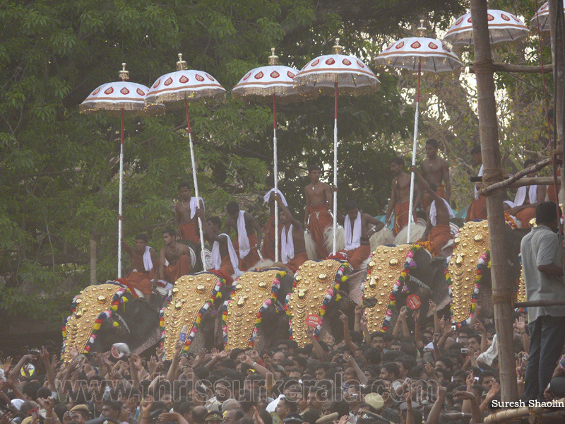 thrissur-pooram-2010 (39)